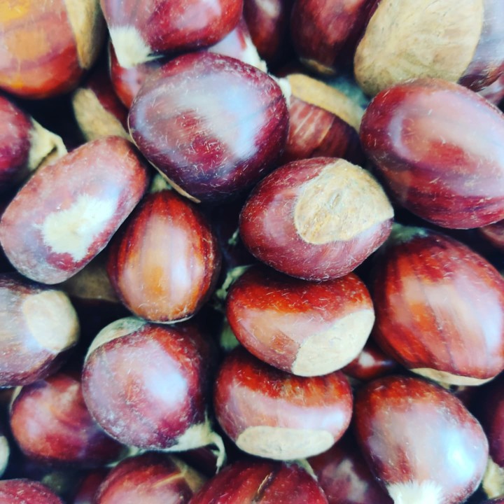 256881616_2165884370217979_313045960073888759_n.jp