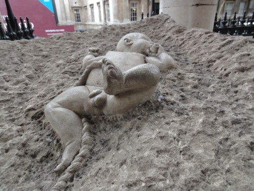 DSC02434.JPG DSC02434.JPG