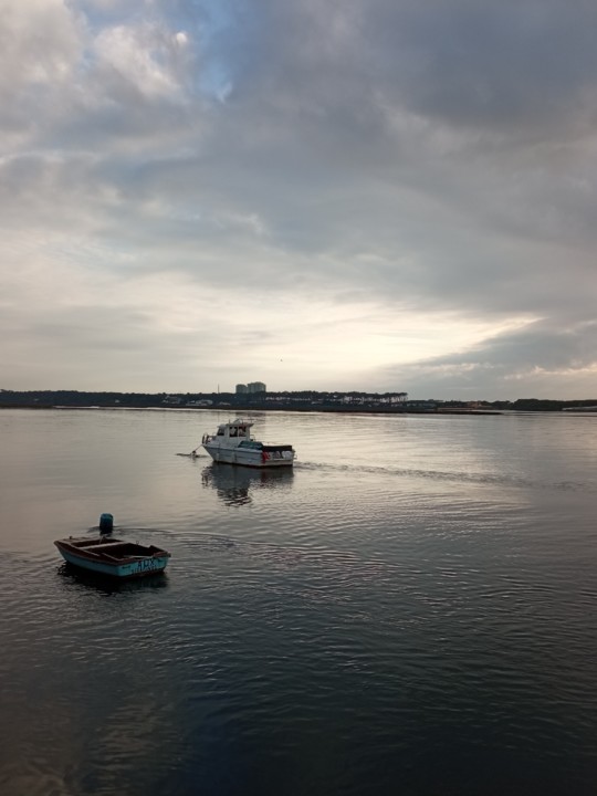 IMG_20201113_160839 (2).jpg