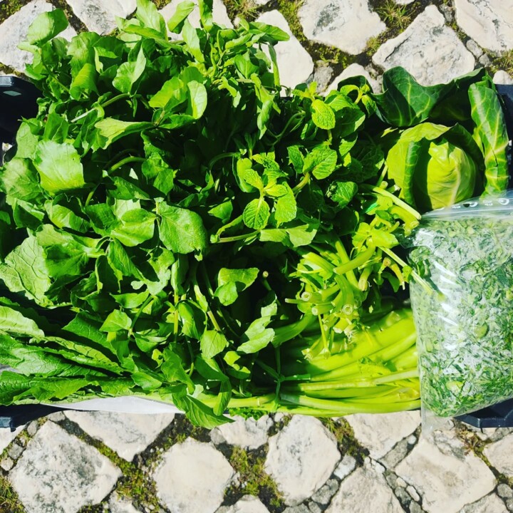 482401857_18464132362066958_8998542133461414871_n.