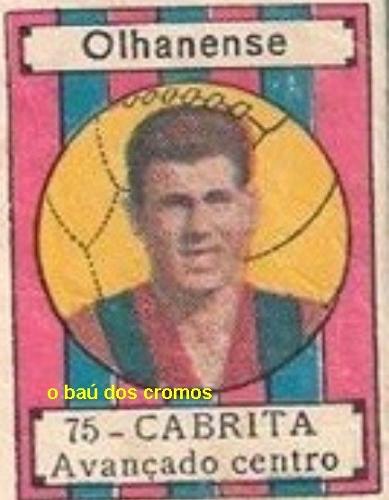 cabrita-olhanense-12891548_625620207589496_2205485