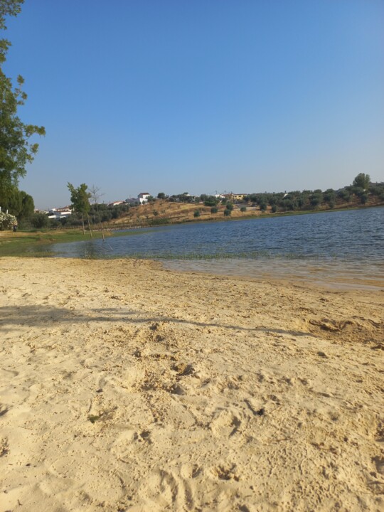 amieira2.jpg