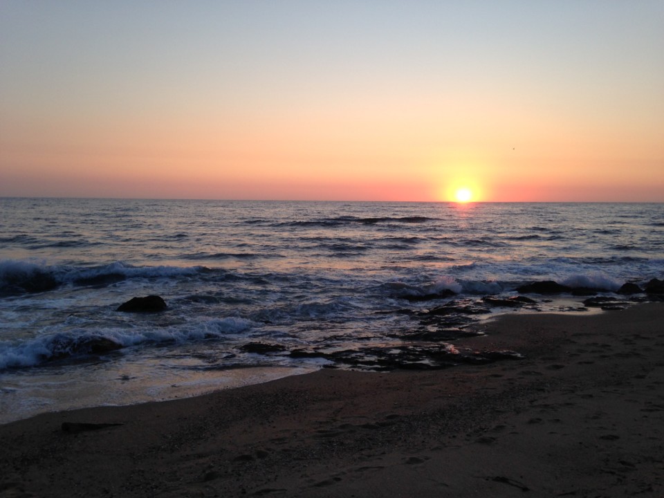 IMG_6472.JPG IMG_6472.JPG