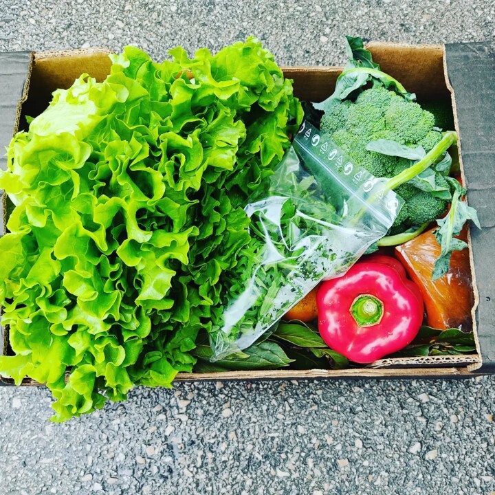 495490300_18476346613066958_5478228240860962136_n.