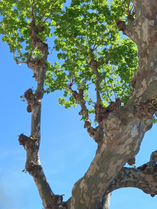 421354660_7341828799265695_1258283435537100946_n.j