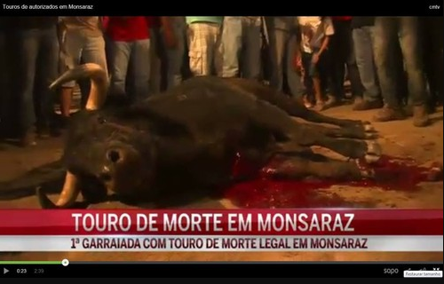 TOURO DE MORTE EM MONSARAZ.PNG