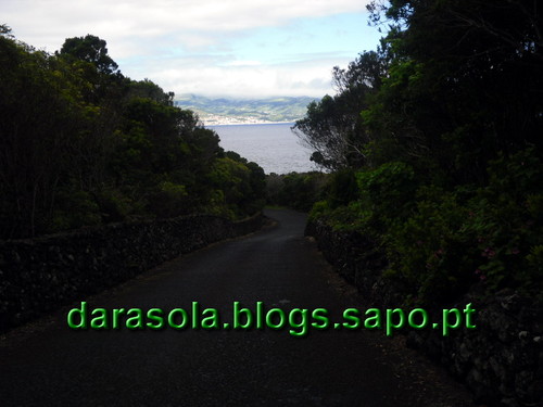 azores_pico_criacao_velha_37.JPG