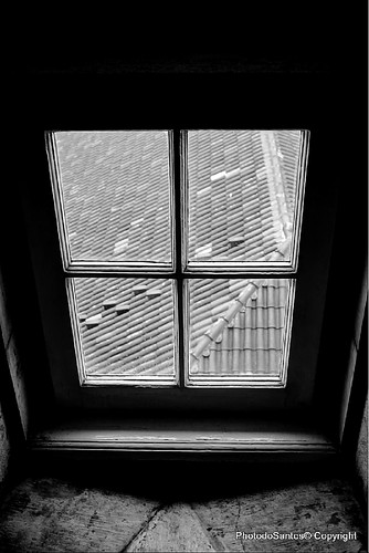 IMG_9699 - Cópia_ (2)_ (3)_fusedAnd2more_fused.jp