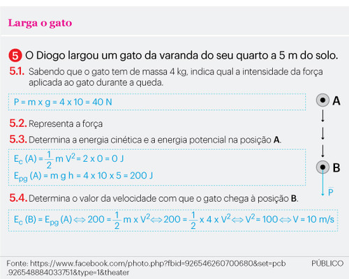 Gato-TEXTO.jpg