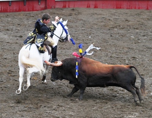 Rui Lopes, preparando o triunfo...