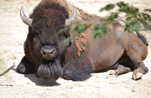 IMG_9525.PNG IMG_9525.PNG