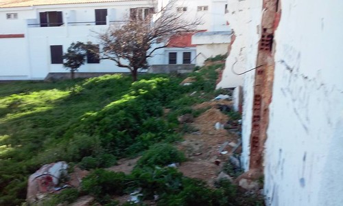 15895063_1824825561062746_3240808161456472398_n.jp