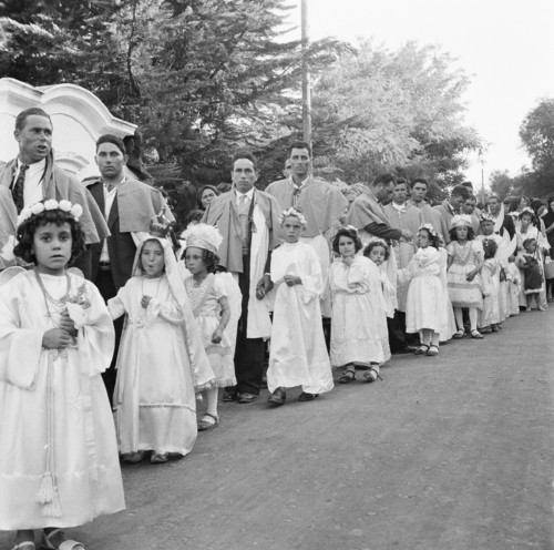 FFC_111525.jpg FFC_111525.jpg