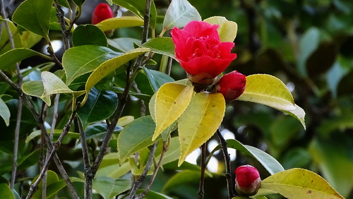 DSC09379.jpg DSC09379.jpg