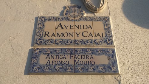 DSC_0079.JPG DSC_0079.JPG