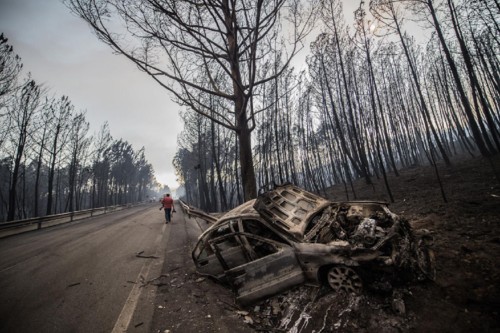 20170618_incendio_pedrogao_grande_floresta_2[1].jp