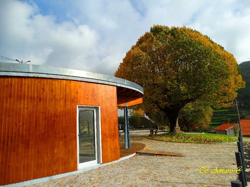 Fotos de Outono !!! 010.jpg