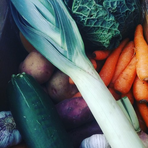 14595698_771768456296251_4496749358249478956_n.jpg 14595698_771768456296251_4496749358249478956_n.jpg