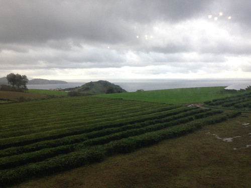 IMG_8531.jpg IMG_8531.jpg