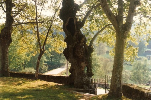 69 b2 - most fiães.jpg 69 b2 - most fiães.jpg