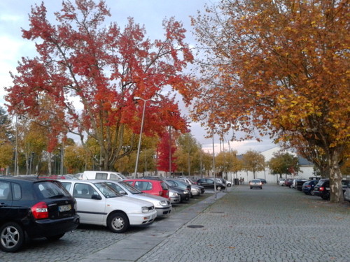 Cores de outona 4.jpg Cores de outona 4.jpg