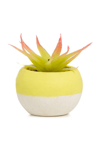 Kimball-missing-plant ornament pink, grade missing