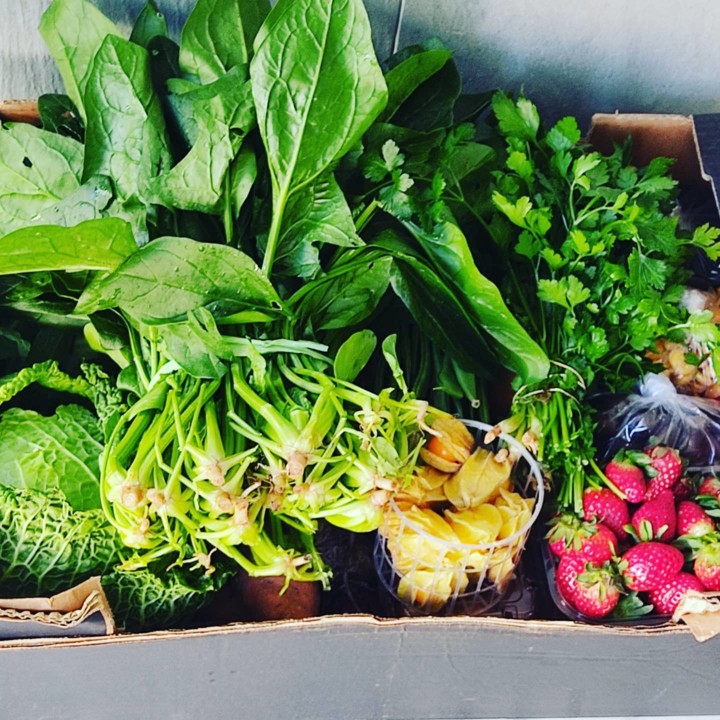 157347045_1967403970066021_7369524286005684832_o.j