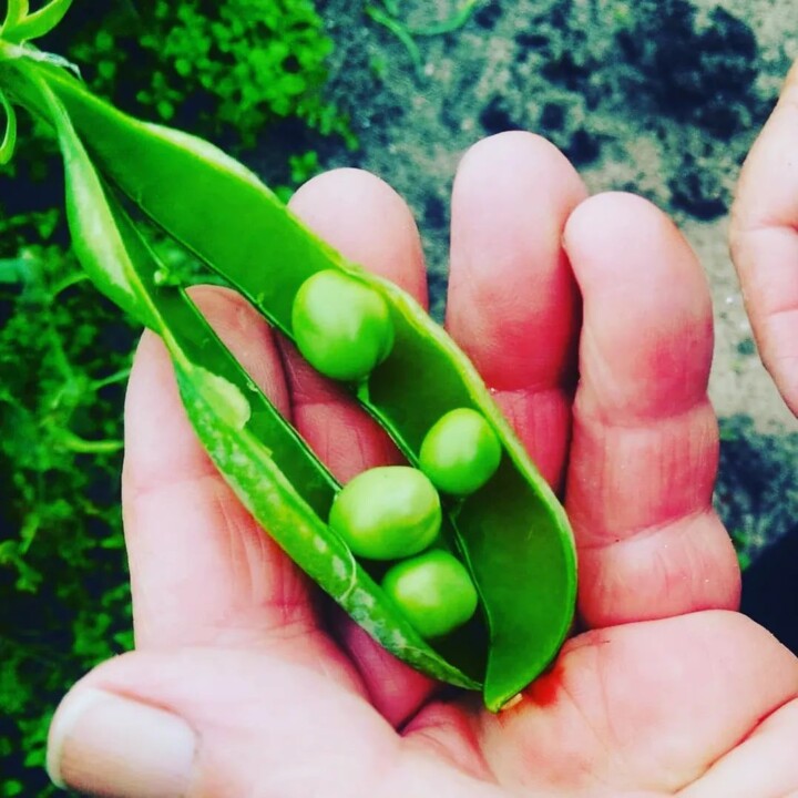 279678855_2303151989824549_3554253115383768458_n.j