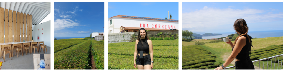 Post's Blog  (31).png