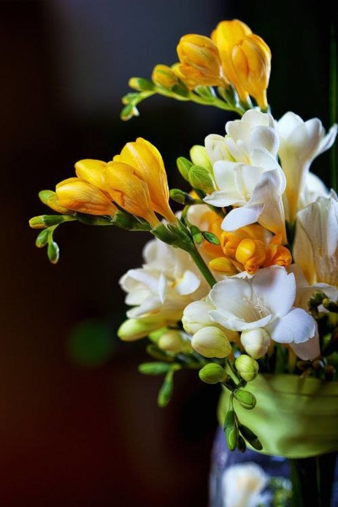 Todos os dias deveríamos ler um bom poema, ouvir 