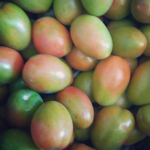 52071547_1307426602730431_4049757794776121344_n.jp