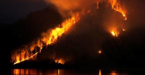 Síbéria está  arder.jpg