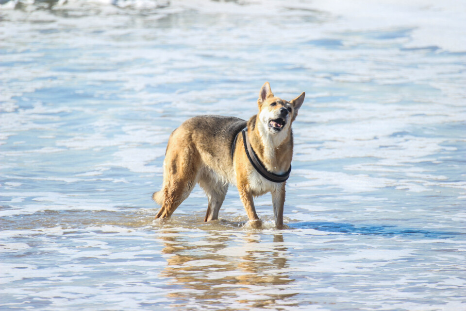 capitulo perfeito 26.jpg