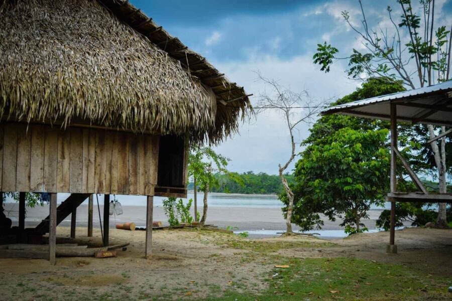 natives-6285694_Easy-Resize.com_-900x600.jpg.optim