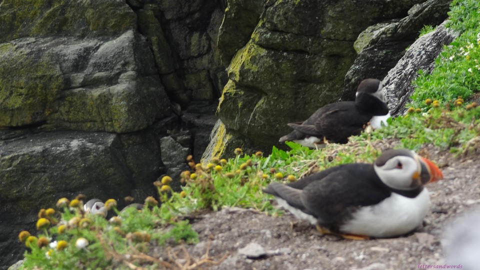 DSC06961.JPG DSC06961.JPG