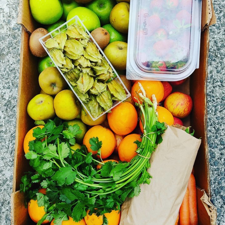 168707275_1988842751255476_8151057302268387157_n.j