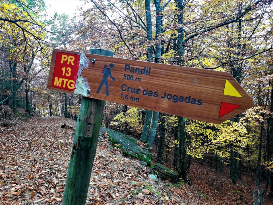 PLACA CRUZ JOGADAS.jpg