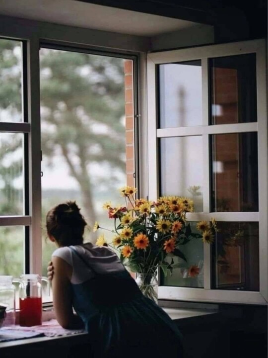 Pensamentos &amp; Palavras ● ● Talvez a vontade de