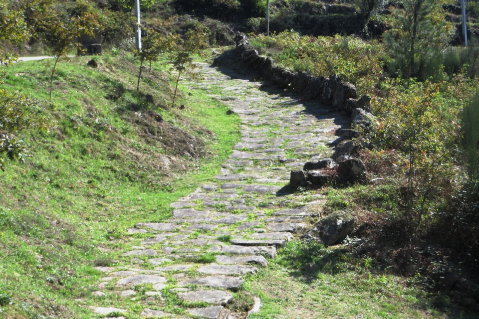 IMG_4691.JPG IMG_4691.JPG