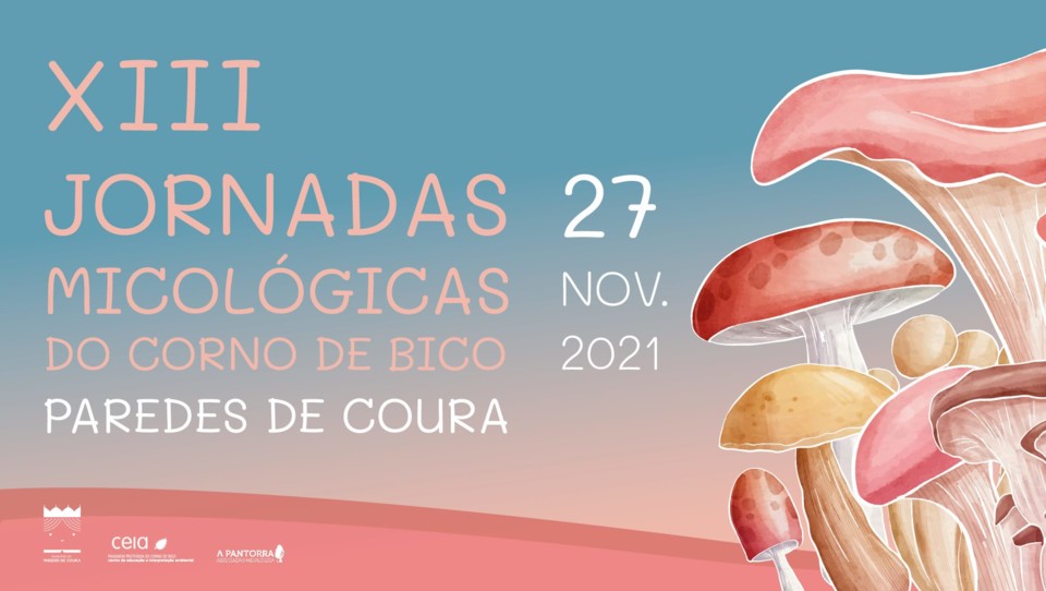 256366141_4998426680208869_2160060588982684547_n.j