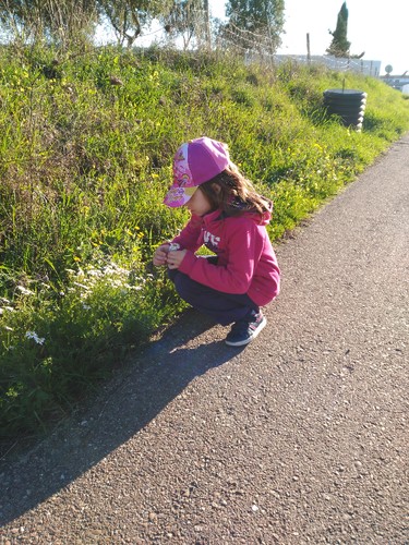 IMG_20170108_153056.jpg IMG_20170108_153056.jpg