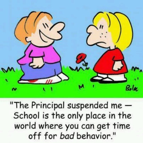 ZELOSXII.jpg ZELOSXII.jpg