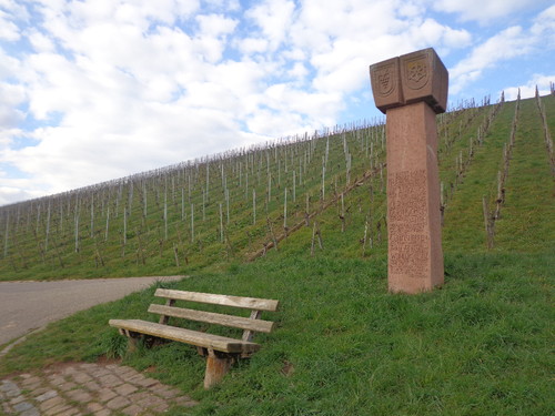 DSC03506.JPG DSC03506.JPG