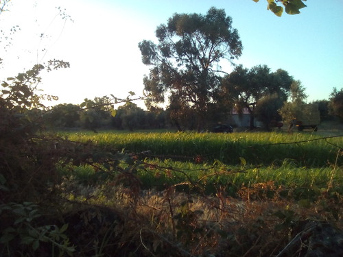 Foto original DAPL 20170630 .jpg