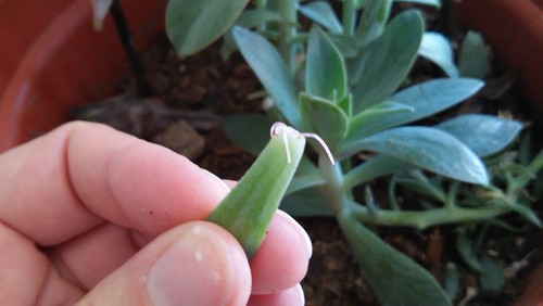 20160719_123320.jpg 20160719_123320.jpg