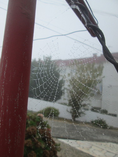 IMG_4729.JPG IMG_4729.JPG