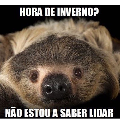 12046769_1023632444323946_5877939767209751593_n.jp