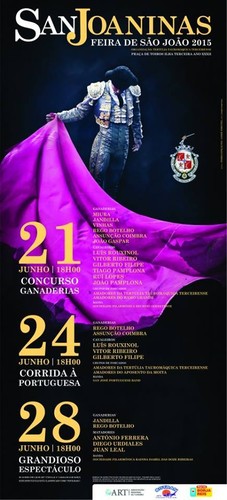 Cartaz Feira São João 2015.jpg