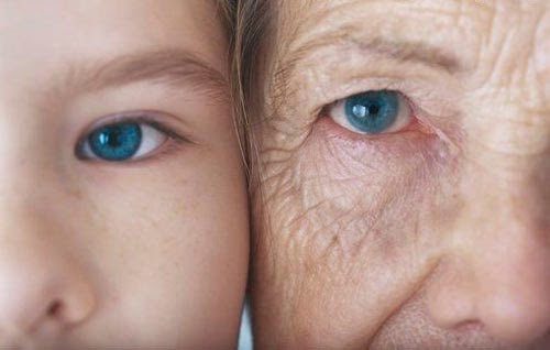 Envelhecimento.jpg Envelhecimento.jpg