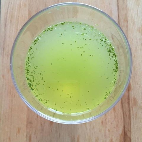 13241195_1109223695766969_5525859165627494060_n.jp